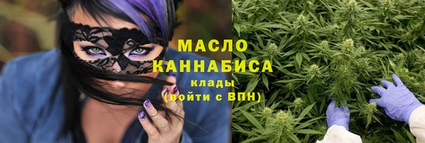 гашик Мегион