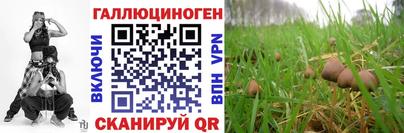 Галлюциногенные грибы Magic Shrooms  Никольск 